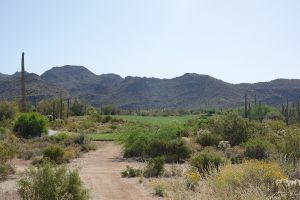 Dove Mountain (Wild Burro) 1st